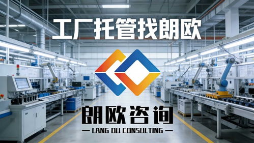 朗欧咨询 电子企业管理升级的专家伙伴，助力企业突破瓶颈实现高质量发展